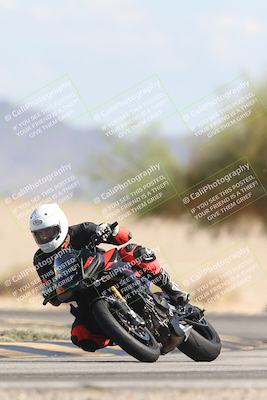 media/Oct-13-2025-Moto Forza (Mon) [[a66d839500]]/3-B Group/Session 4 Turn 4 Tree of Life/